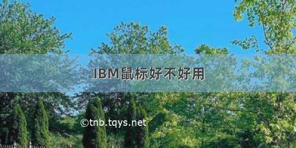 IBM鼠标好不好用