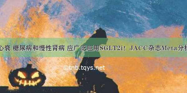 心衰 糖尿病和慢性肾病 应广泛应用SGLT2i！JACC杂志Meta分析