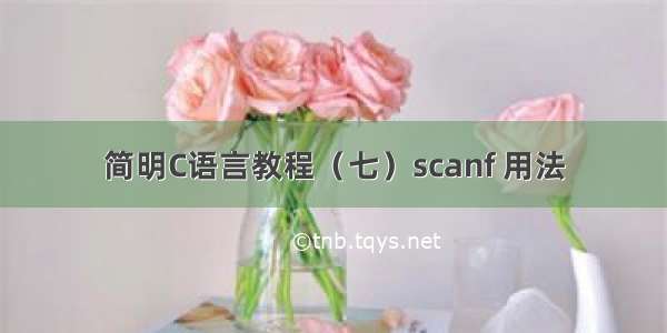 简明C语言教程（七）scanf 用法
