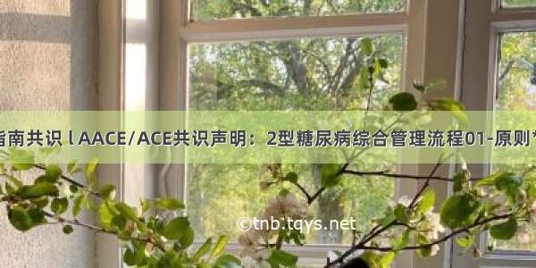指南共识 l AACE/ACE共识声明：2型糖尿病综合管理流程01-原则**