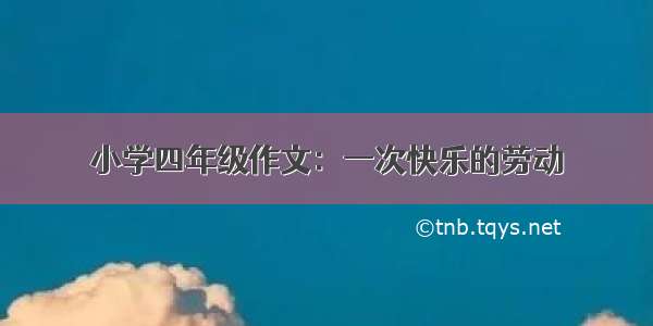 小学四年级作文：一次快乐的劳动