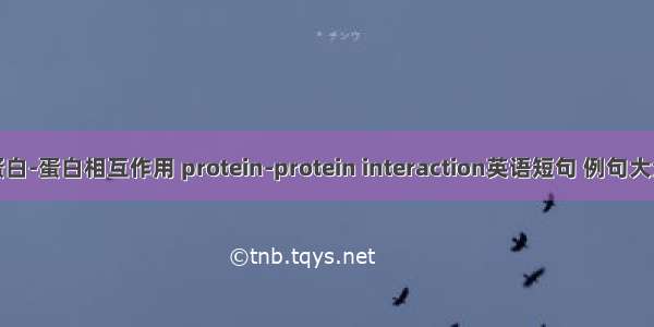 蛋白-蛋白相互作用 protein-protein interaction英语短句 例句大全
