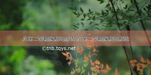 儿童二型糖尿病的原因 儿童二型糖尿病的病因