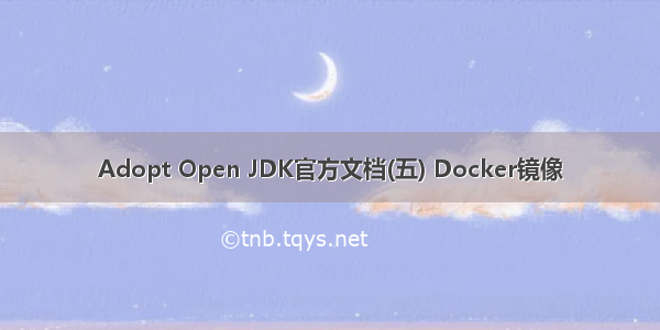 Adopt Open JDK官方文档(五) Docker镜像