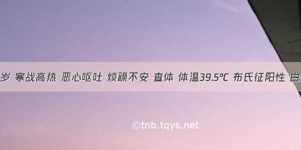 患儿 7岁 寒战高热 恶心呕吐 烦躁不安 查体 体温39.5℃ 布氏征阳性 白细胞数