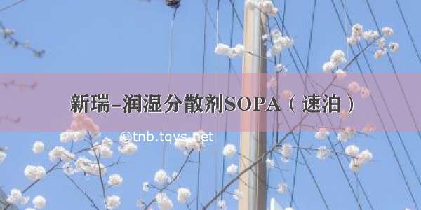 新瑞-润湿分散剂SOPA（速泊）