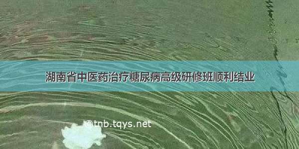 湖南省中医药治疗糖尿病高级研修班顺利结业