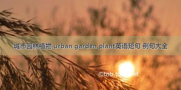 城市园林植物 urban garden plant英语短句 例句大全