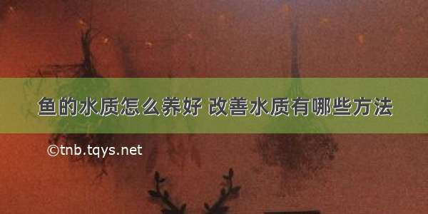 鱼的水质怎么养好 改善水质有哪些方法