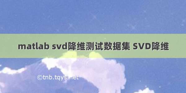 matlab svd降维测试数据集 SVD降维