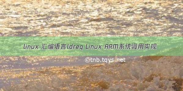 linux 汇编语言ldreq Linux ARM系统调用实现