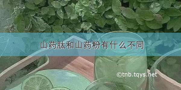 山药肽和山药粉有什么不同