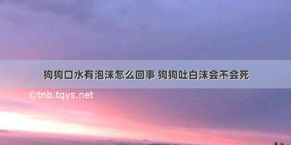 狗狗口水有泡沫怎么回事 狗狗吐白沫会不会死