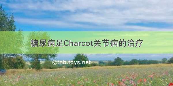 糖尿病足Charcot关节病的治疗