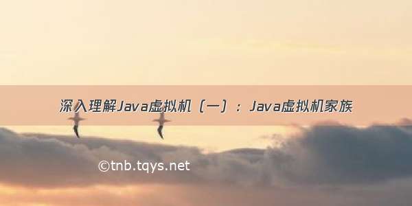 深入理解Java虚拟机（一）：Java虚拟机家族