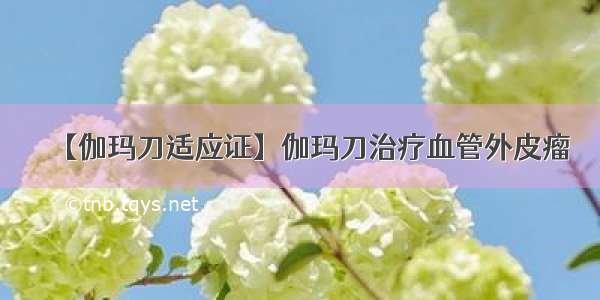 【伽玛刀适应证】伽玛刀治疗血管外皮瘤