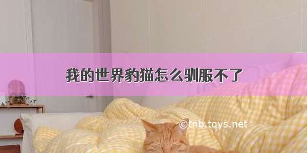 我的世界豹猫怎么驯服不了