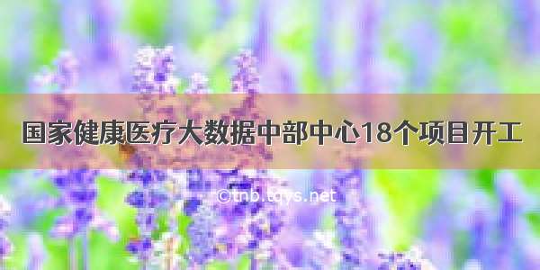 国家健康医疗大数据中部中心18个项目开工