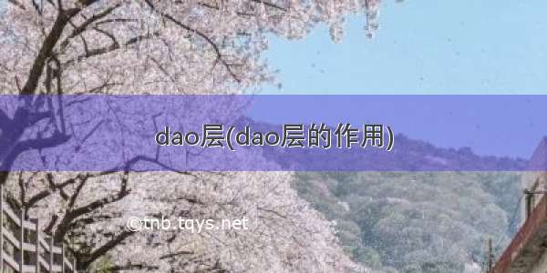 dao层(dao层的作用)