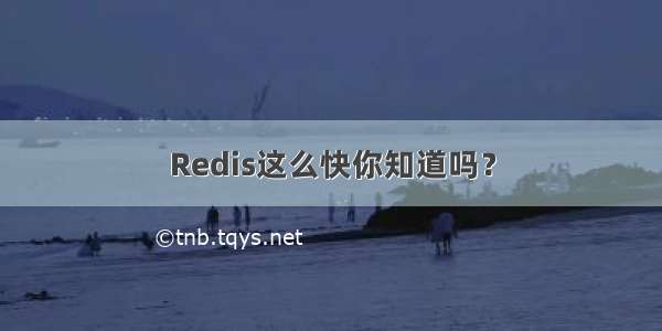 Redis这么快你知道吗？