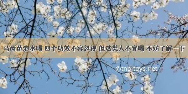 马齿苋泡水喝 四个功效不容忽视 但这类人不宜喝 不妨了解一下