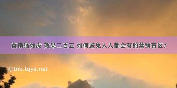 营销猛如虎 效果二百五 如何避免人人都会有的营销盲区？