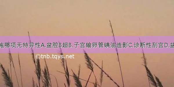 以下诊断措施哪项无特异性A.盆腔B超B.子宫输卵管碘油造影C.诊断性刮宫D.盆腔X线拍片E.