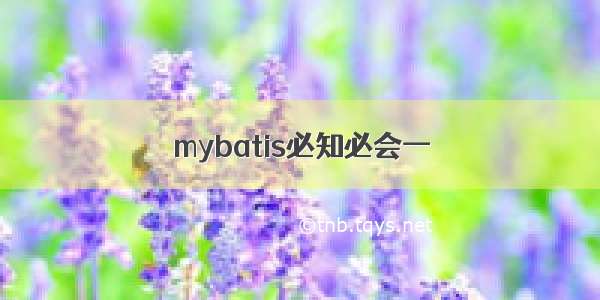 mybatis必知必会一