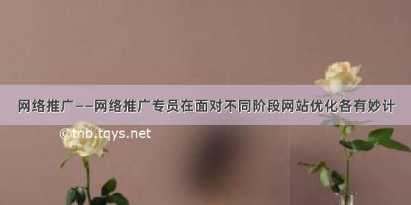 网络推广——网络推广专员在面对不同阶段网站优化各有妙计