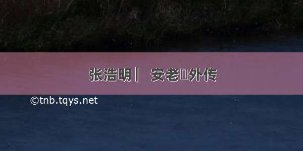 张浩明 ▏安老孃外传