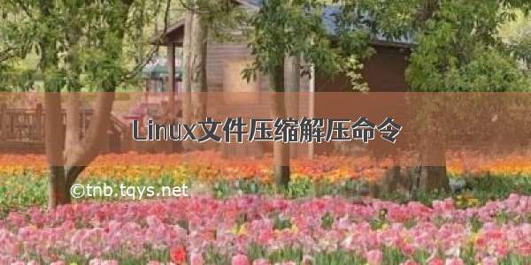 Linux文件压缩解压命令