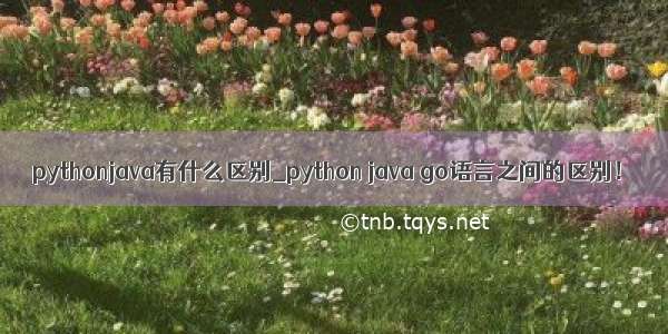 pythonjava有什么区别_python java go语言之间的区别！