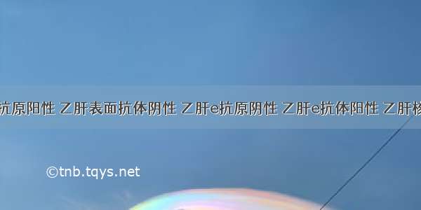 乙肝表面抗原阳性 乙肝表面抗体阴性 乙肝e抗原阴性 乙肝e抗体阳性 乙肝核心抗体阳