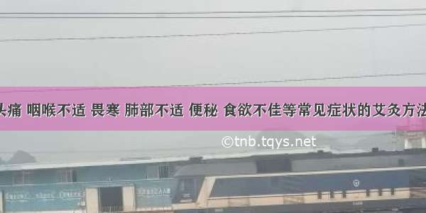 头痛 咽喉不适 畏寒 肺部不适 便秘 食欲不佳等常见症状的艾灸方法！