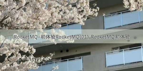 RocketMQ-初体验RocketMQ(01)_RocketMQ初体验