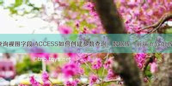 mysql 查询视图字段 ACCESS如何创建参数查询 – 数据库 – 前端 mysql 库改名字