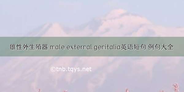 雄性外生殖器 male external genitalia英语短句 例句大全