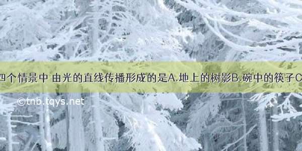 如图所示的四个情景中 由光的直线传播形成的是A.地上的树影B.碗中的筷子C.水中荷花的