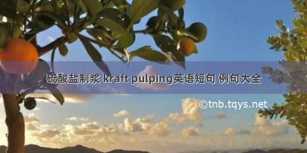 硫酸盐制浆 kraft pulping英语短句 例句大全