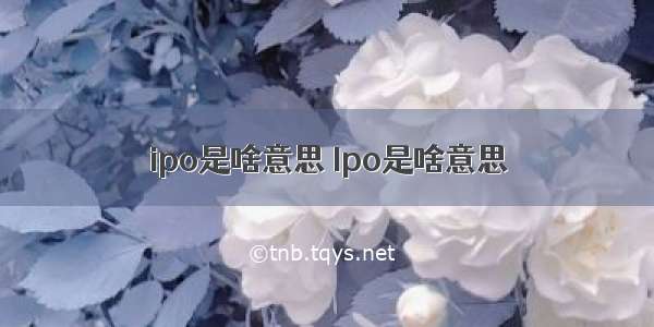 ipo是啥意思 Ipo是啥意思