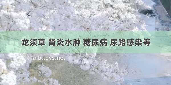 龙须草 肾炎水肿 糖尿病 尿路感染等