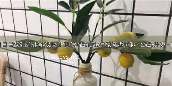 如何自己做编程小游戏教程 制作游戏需要学习哪些软件 – 游戏开发 – 前端