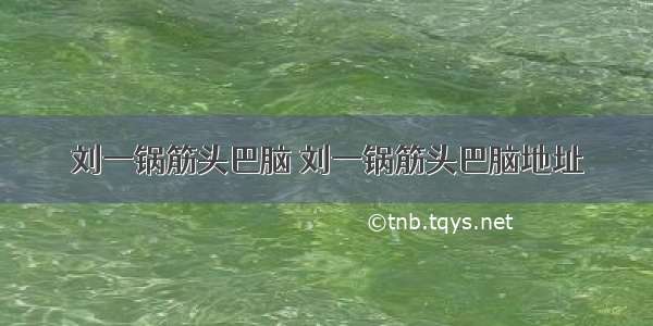 刘一锅筋头巴脑 刘一锅筋头巴脑地址