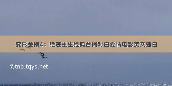 变形金刚4：绝迹重生经典台词对白爱情电影英文独白