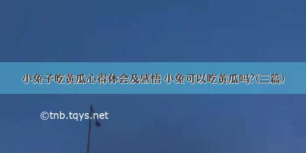 小兔子吃黄瓜心得体会及感悟 小兔可以吃黄瓜吗?(三篇)