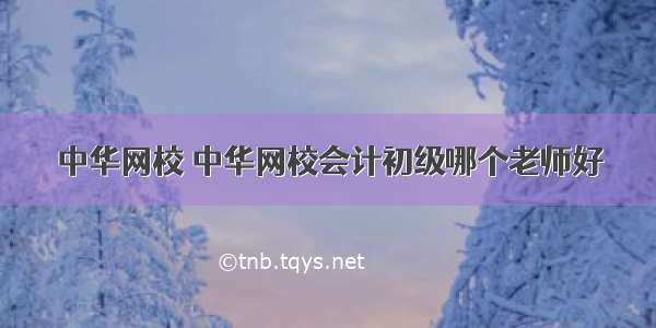 中华网校 中华网校会计初级哪个老师好