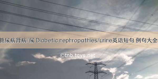 糖尿病肾病/尿 Diabetic nephropathies/urine英语短句 例句大全