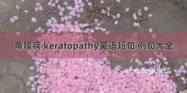角膜病 keratopathy英语短句 例句大全