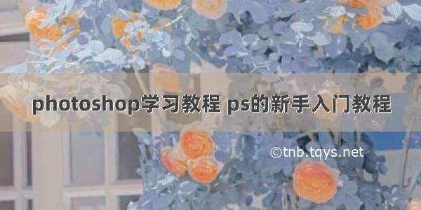 photoshop学习教程 ps的新手入门教程