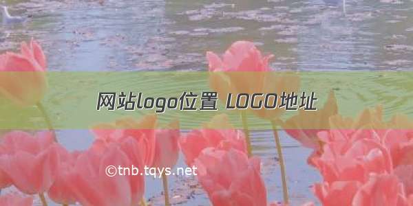 网站logo位置 LOGO地址